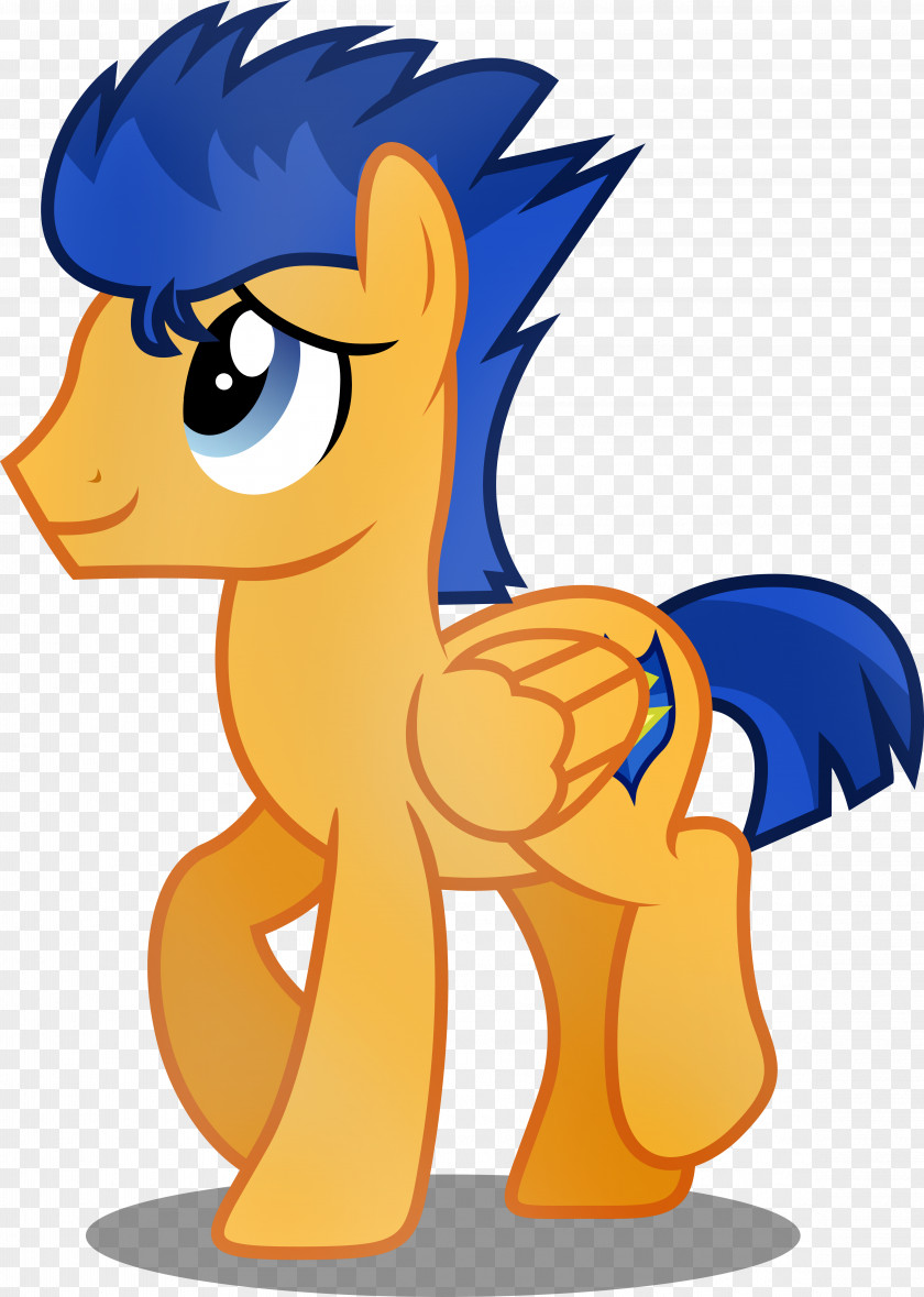 Flash Sentry Pony DeviantArt Horse Adobe PNG