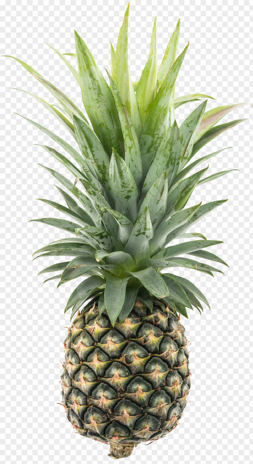 HD Pineapple Fruit Food PNG