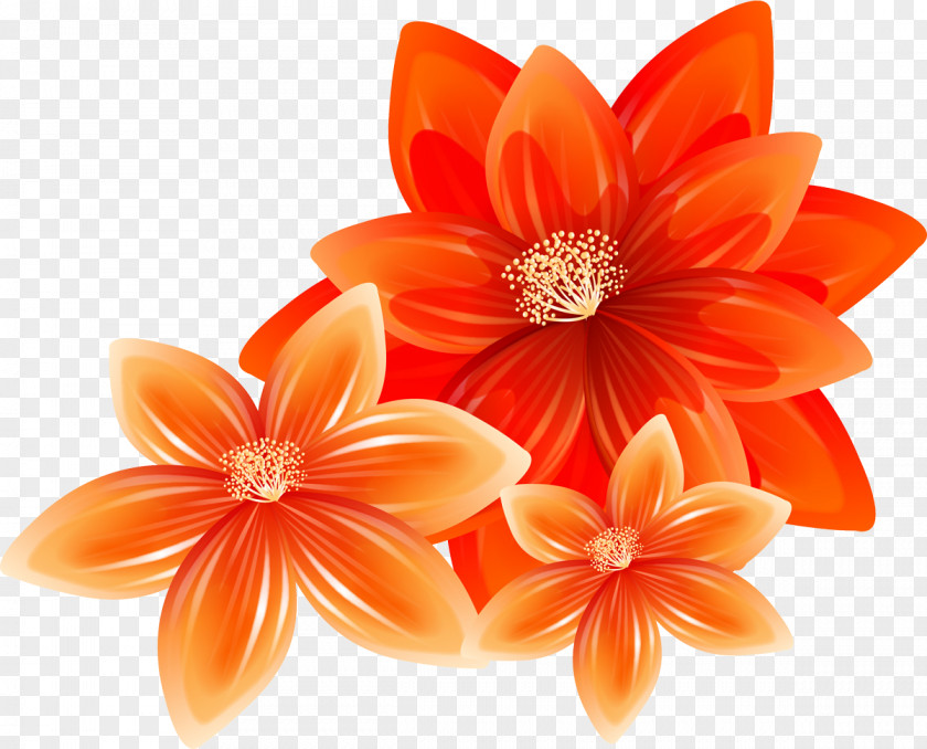 Orange Cut Flowers Illustrator PNG