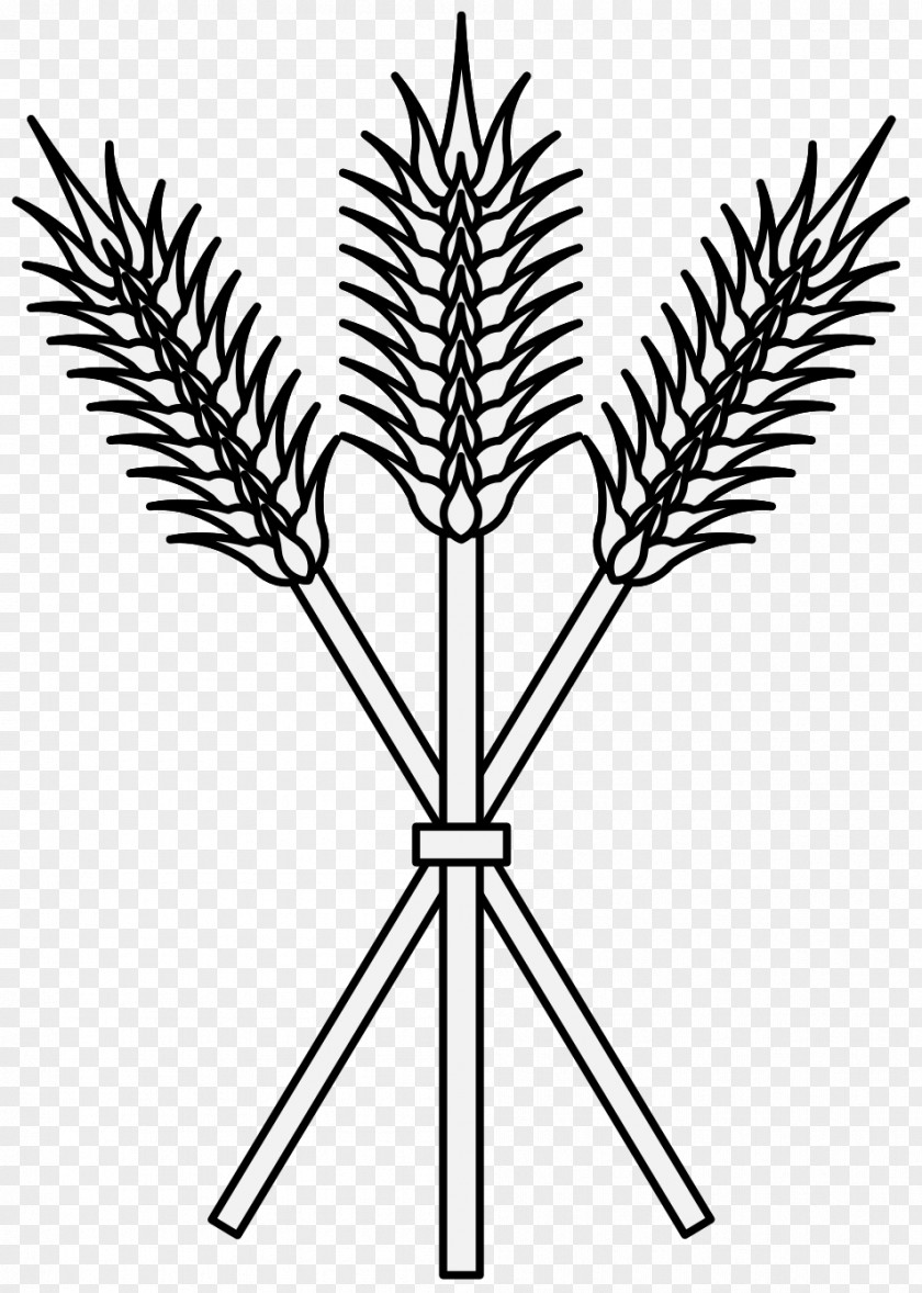 Wheat Plant Stem Drawing Heraldry Clip Art PNG