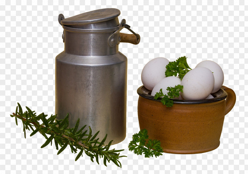 Cooking Pot Milk Egg Food Vitamin Health PNG