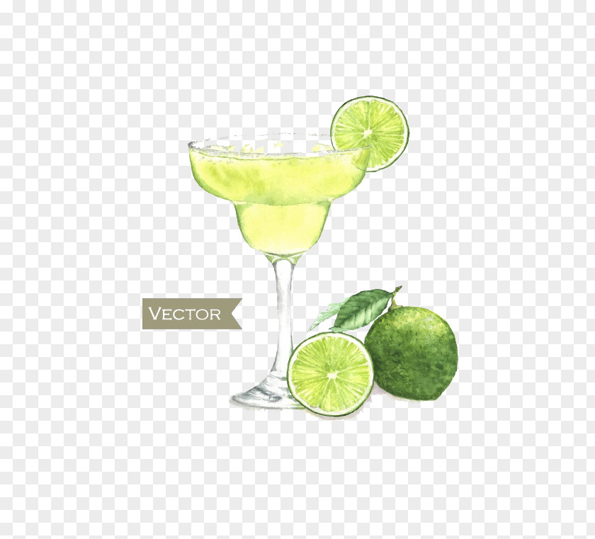 Fresh Lemon Juice Cocktail Margarita Martini Watercolor Painting PNG