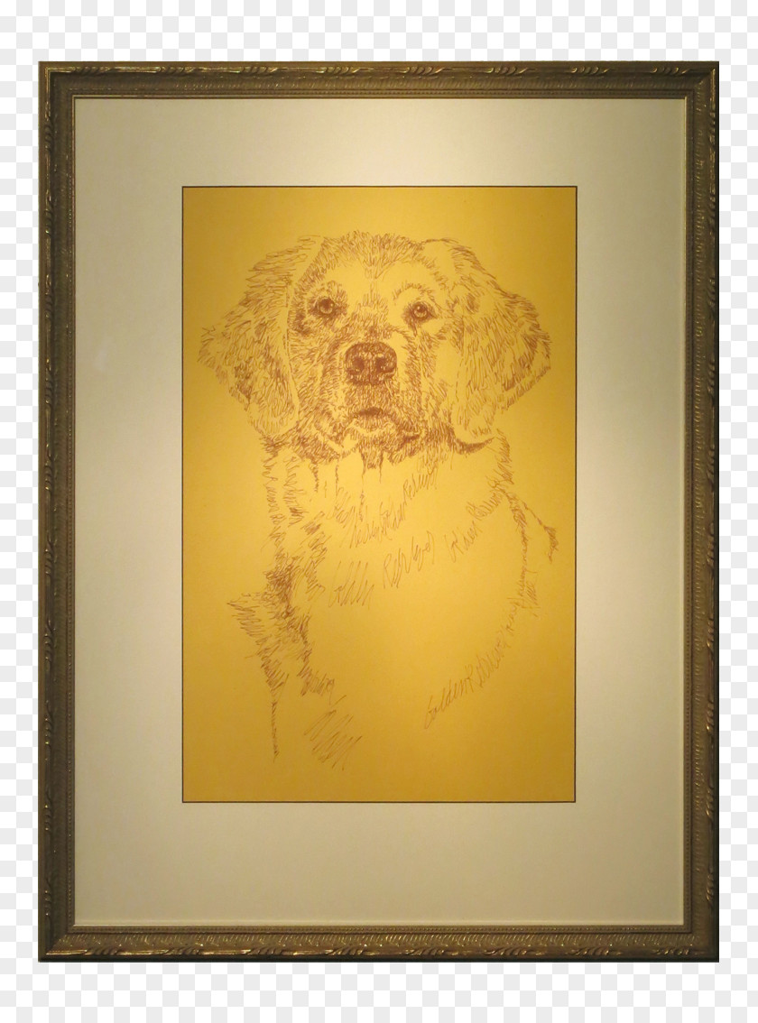 Golden Retriever Painting Drawing Picture Frames PNG