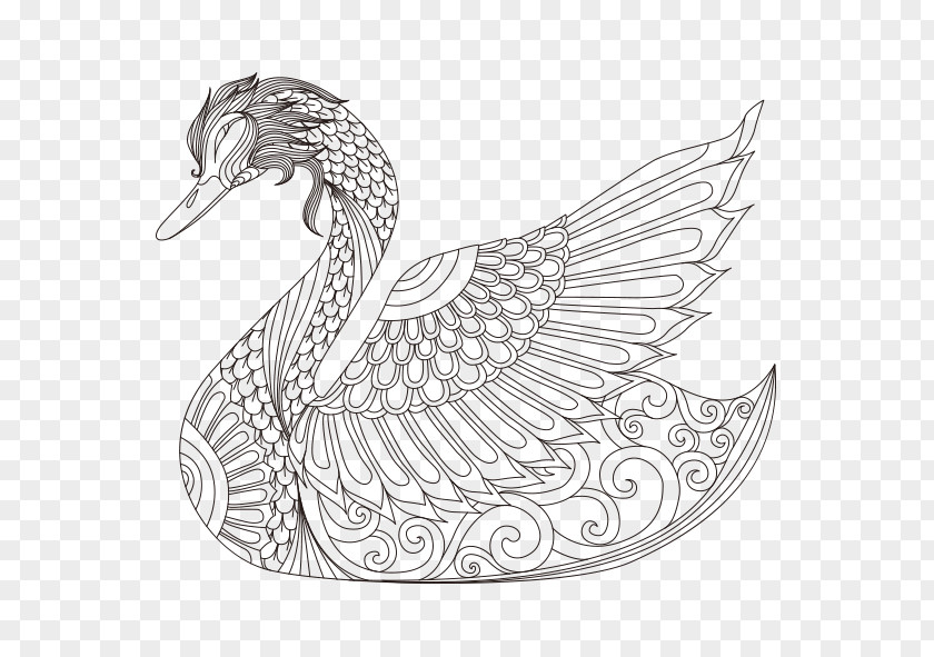 Hand-painted Swan Cygnini Bird Coloring Book Drawing PNG