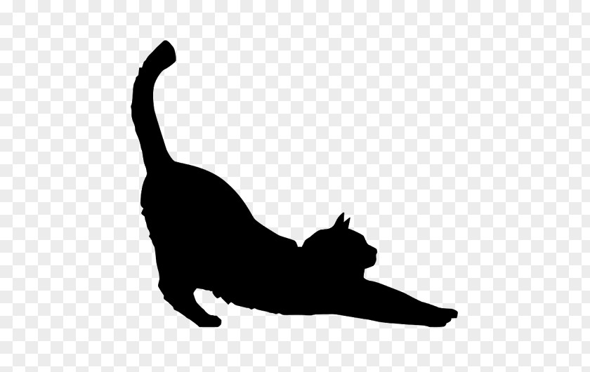 Kitten Siamese Cat Tonkinese Silhouette PNG