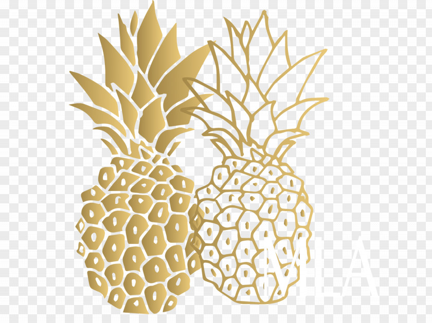 Pineapple Vector Graphics Royalty-free Stock Illustration PNG