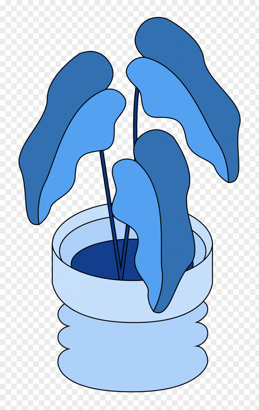 Plant Element PNG