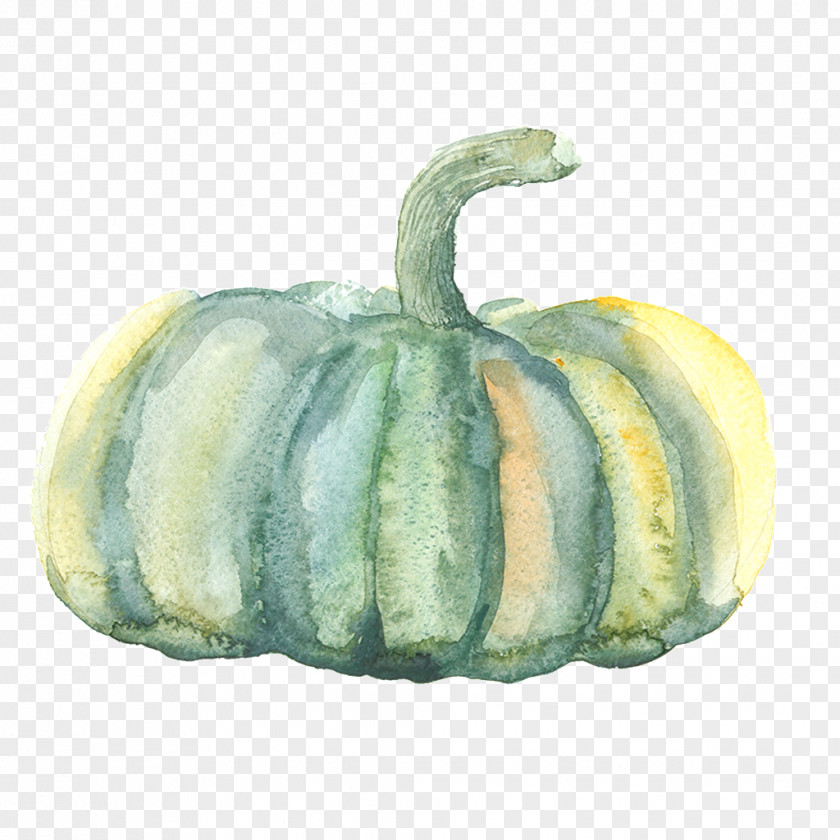 Watercolor Pumpkin Painting Gourd PNG