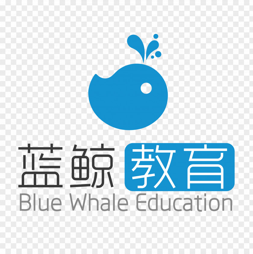 Blue Whale Shenzhen Information Business Entrepreneurship Product PNG