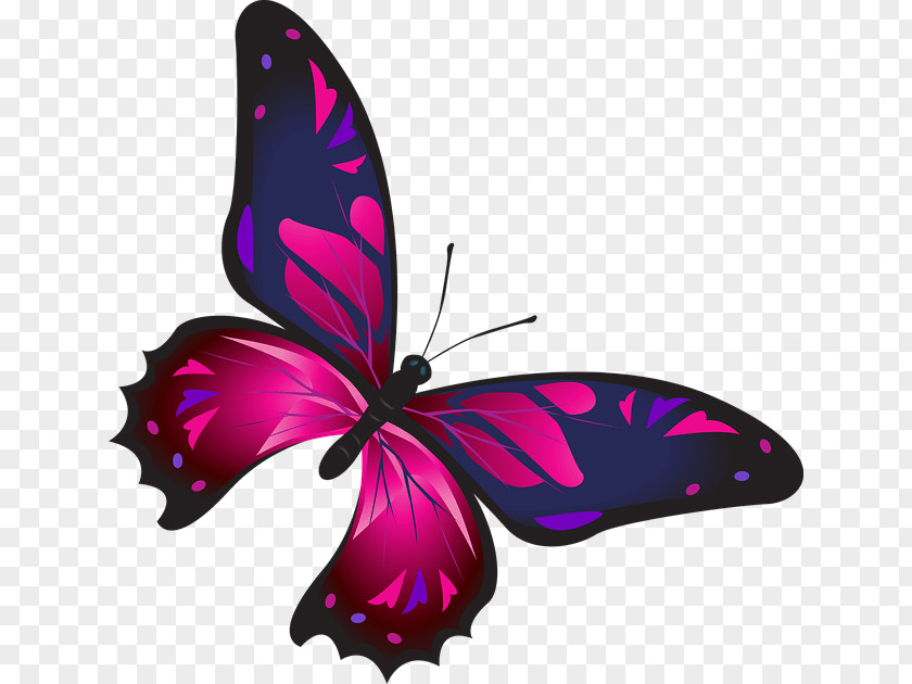 Butterfly Nail Clip Art PNG