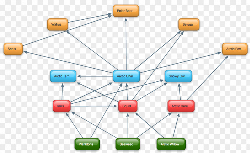 Carnivores Food Web Antarctic Arctic Ocean Science PNG