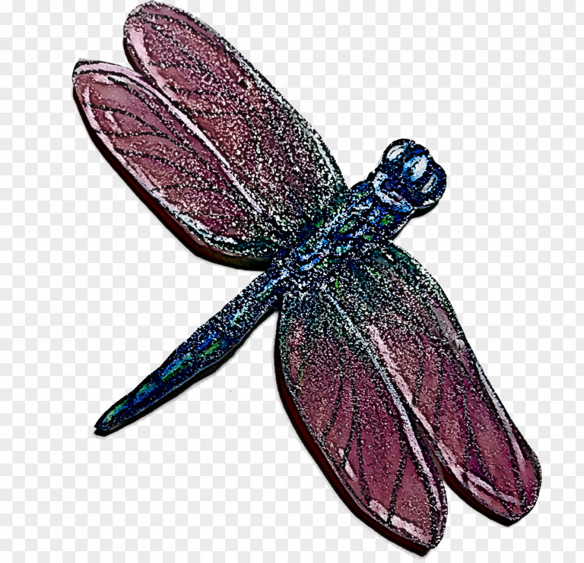 Cell Membrane Insect Butterflies Dragonfly Biological PNG