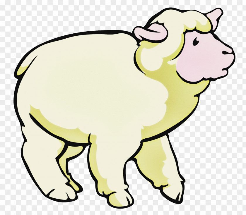 Dog Sheep Cat Cat-like Meter PNG