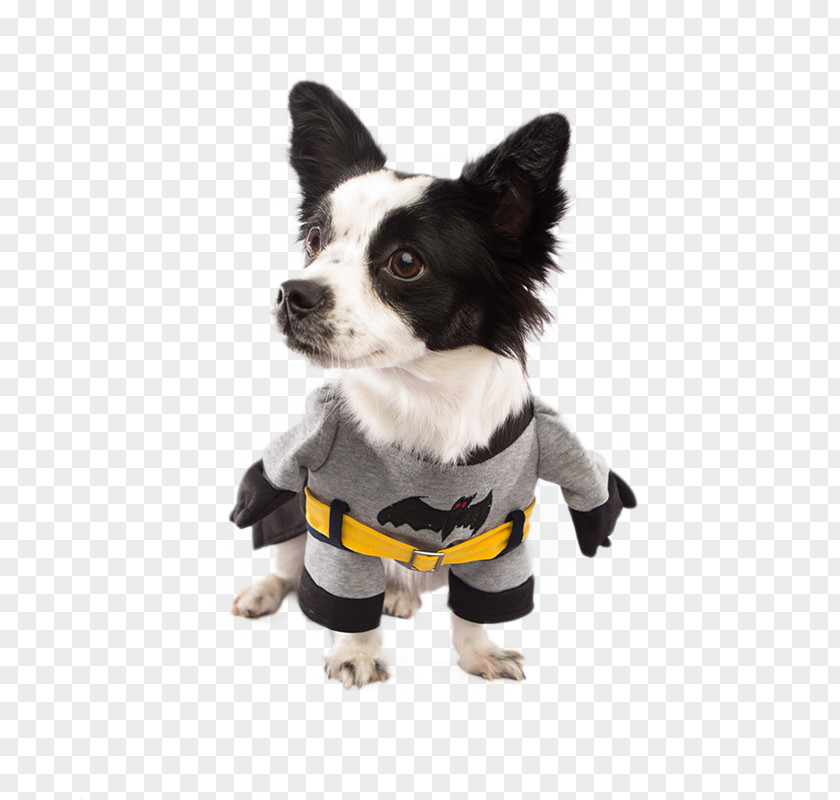 Puppy Dog Breed Costume Pet PNG