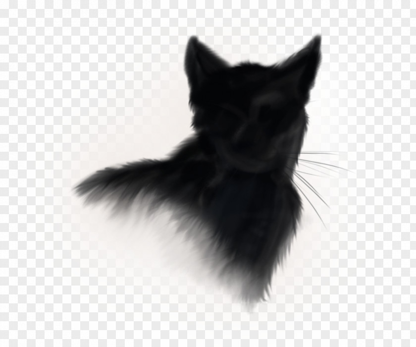 Black Cat Norwegian Forest Kitten Logo PNG