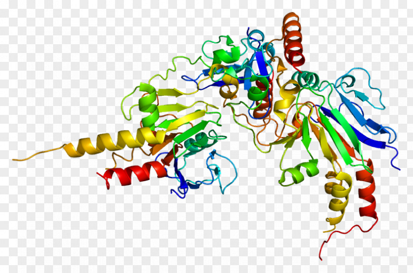 SKI Protein Cell Domain Promyelocytic Leukemia PNG