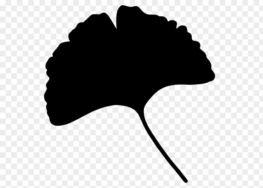Tree Clip Art Silhouette Line Leaf PNG