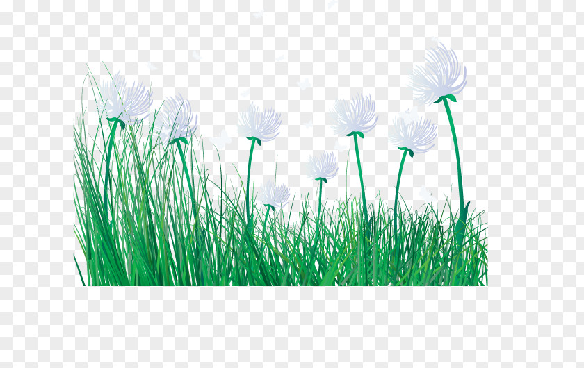 Cartoon Spring Flowers Fresh Grass Primavera Clip Art PNG