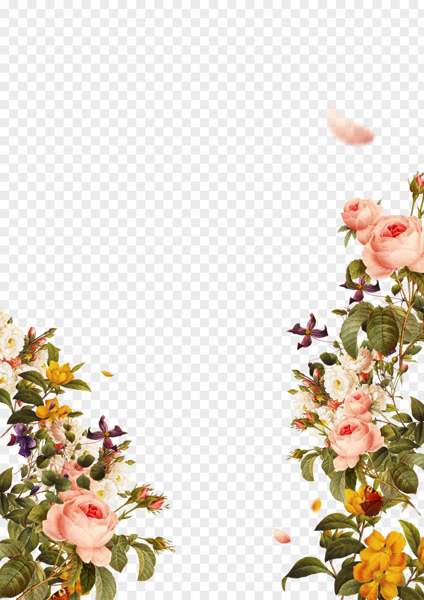 Flowers Flower Download Template PNG