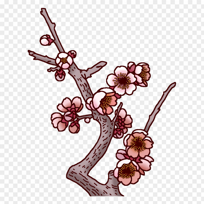Grape Flower PNG