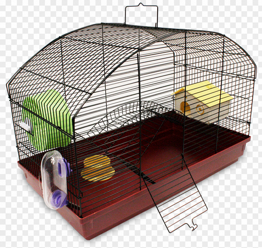 Jaula Hamster Guinea Pig Cage Rodent Pet PNG
