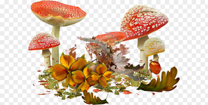 Mushroom Autumn Clip Art PNG