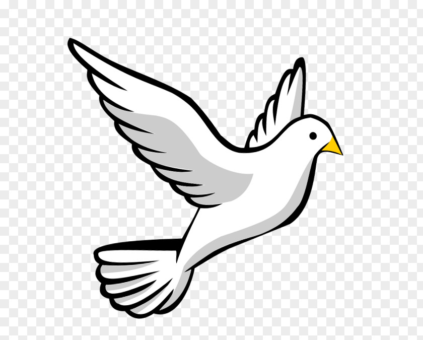Shavuot Columbidae Doves As Symbols Clip Art PNG