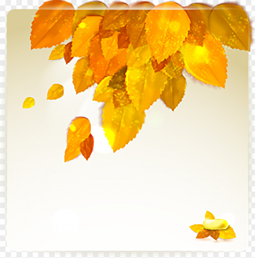 Vector Sprinkle Golden Yellow Leaves Autumn PNG