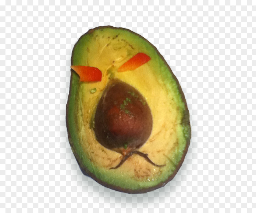 Avocado Superfood PNG