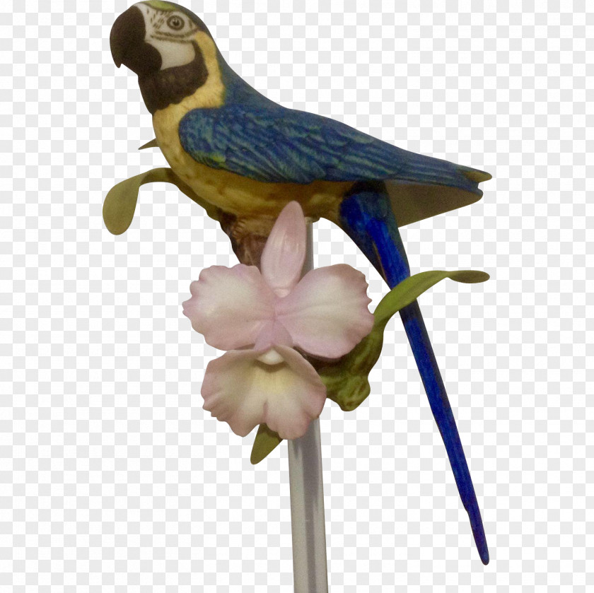 Bird Hyacinth Macaw Parrot The Franklin Mint PNG