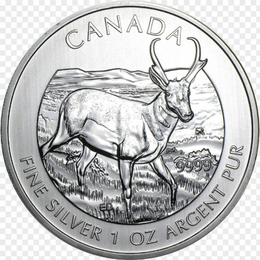 Canada Bullion Coin Canadian Wildlife Royal Mint Silver PNG