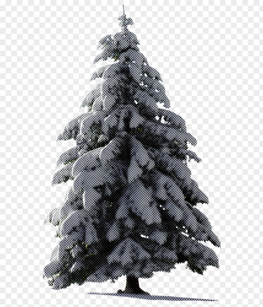 Fir Christmas Decoration Tree PNG