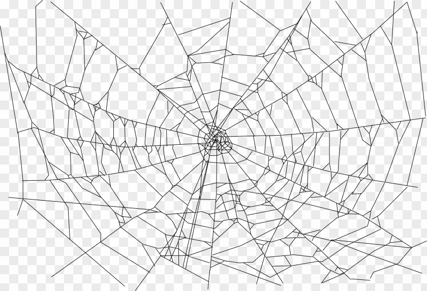 Spider Web File PNG