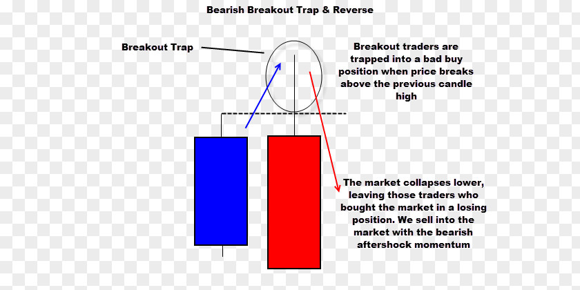 Bear Trap Paper Line Organization Angle PNG