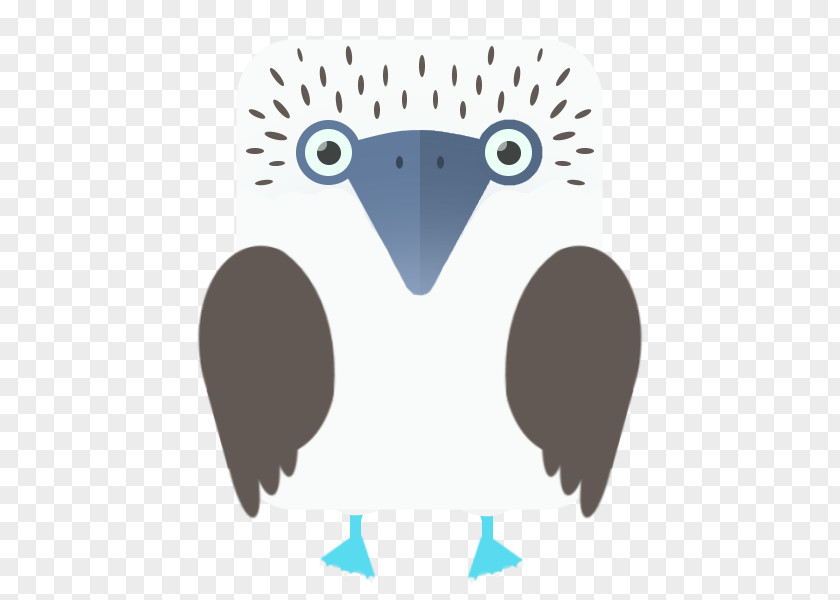 Bird Beak Clip Art Illustration Nose PNG