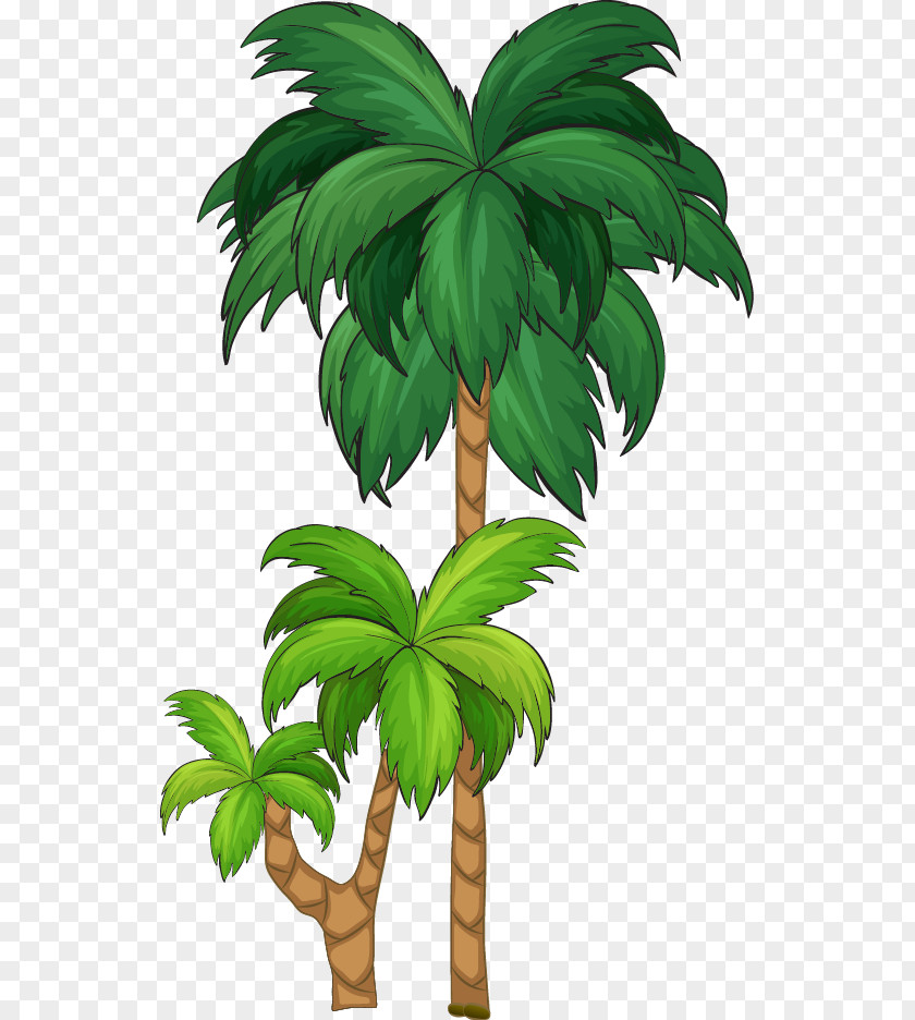 Cartoon Great Fresh Coconut Tree Arecaceae Illustration PNG