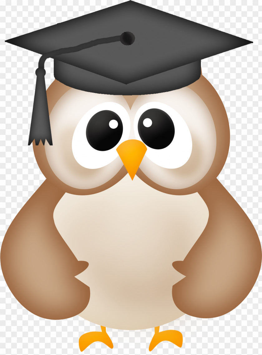 Clip Art Graduation Transparent Ceremony Owl Graduate University PNG
