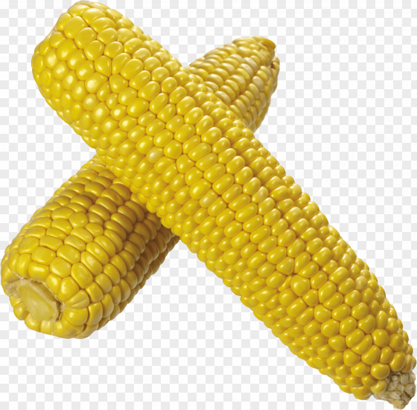 Corn Popcorn Flint On The Cob Sweet PNG