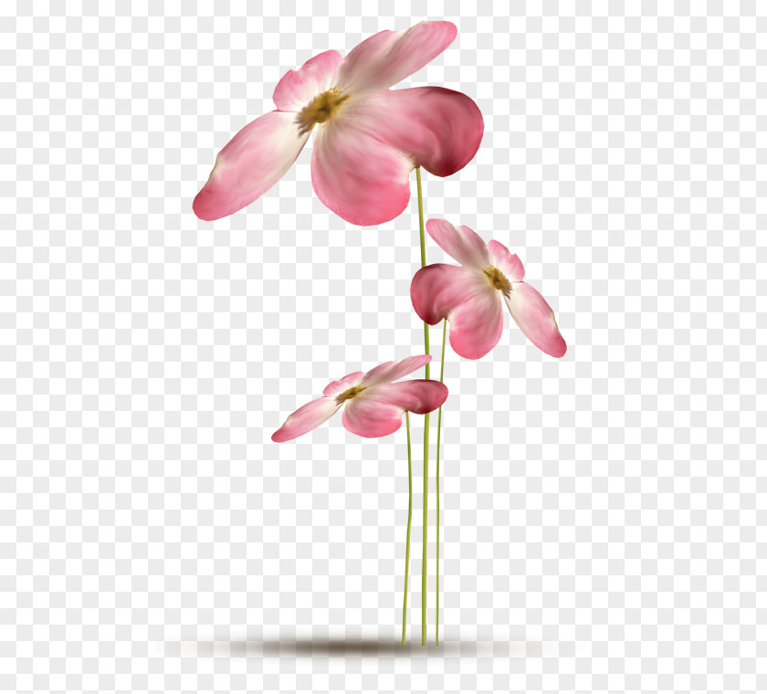 Evotex Flower 2294 (عدد) 2293 PNG