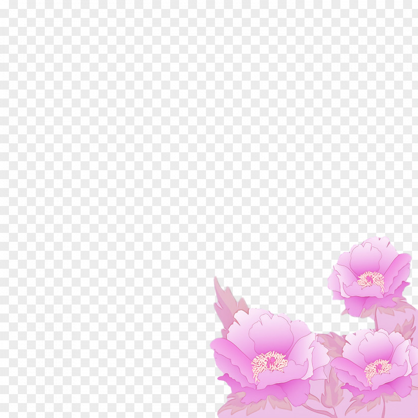 Floral Design PNG