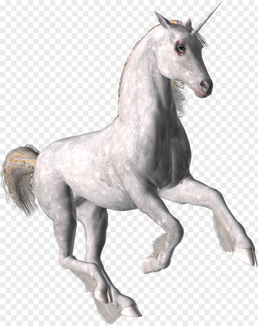 Horse Mustang Stallion Pony Unicorn White PNG