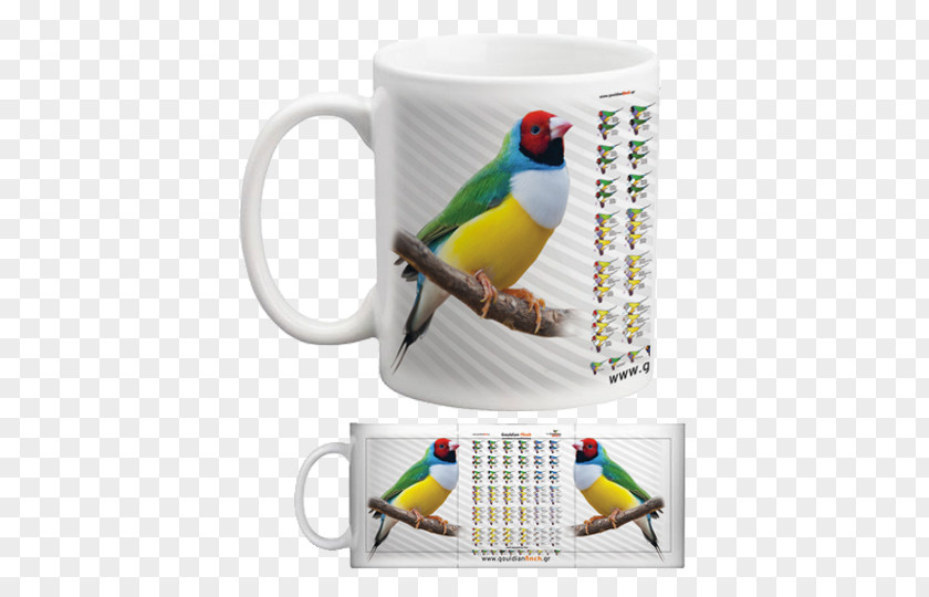 Mug Parakeet Cup Pet PNG