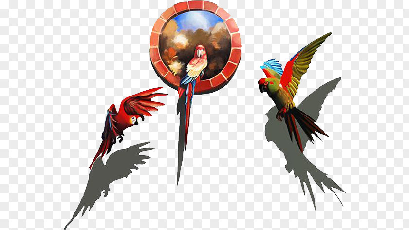 Parrot Visual Arts 3D Computer Graphics Mural Illustration PNG