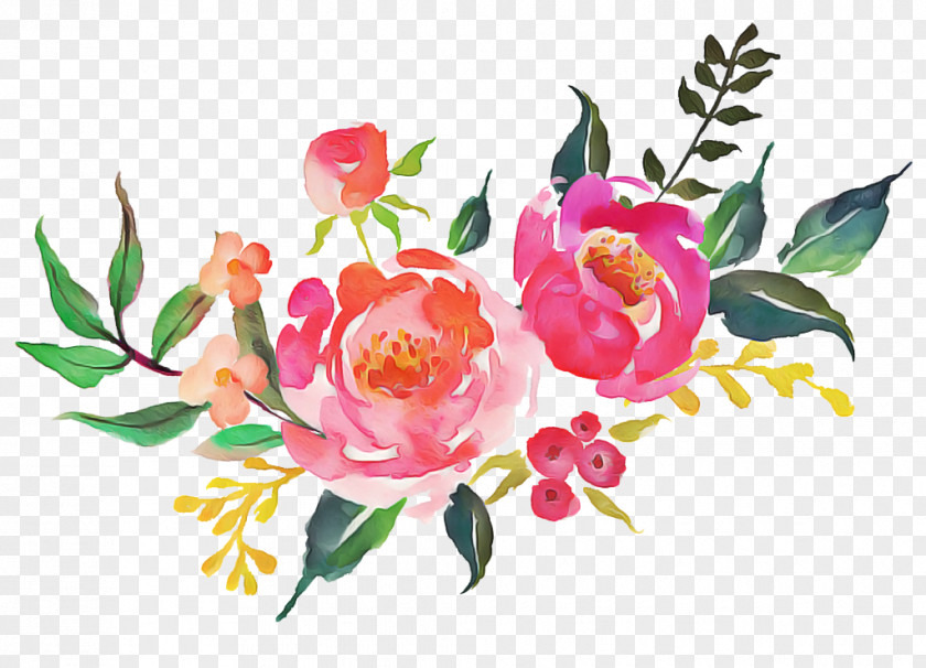 Rosa Gallica Camellia Watercolor Pink Flowers PNG