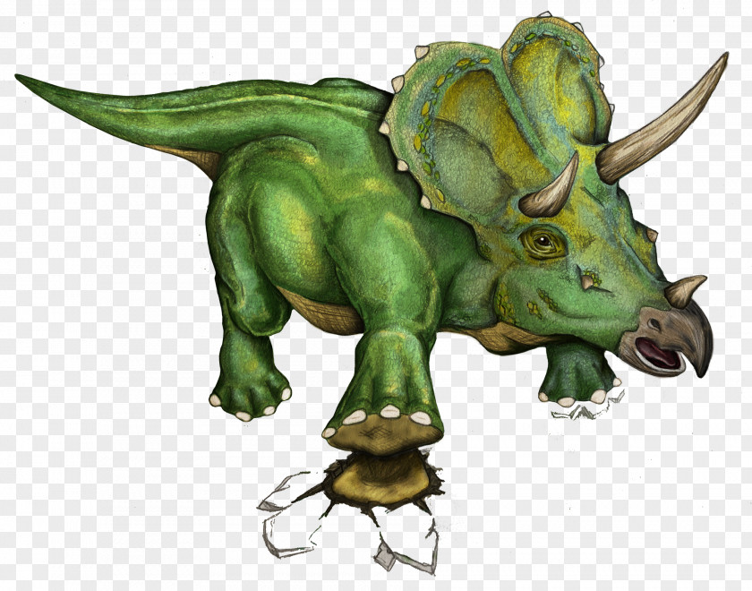 Tyrannosaurus Illustration PNG
