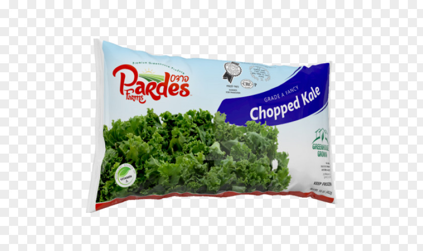 Vegetable Leaf Food Kale Salad PNG