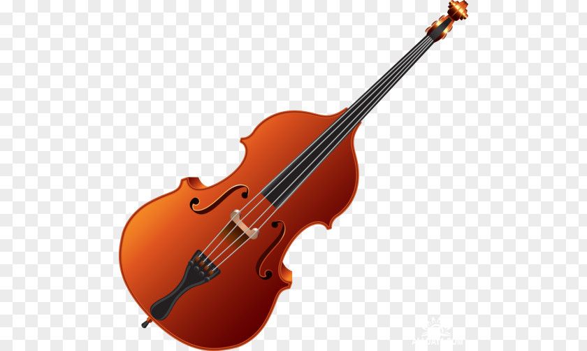 Violin Bass Double Violone Clip Art PNG
