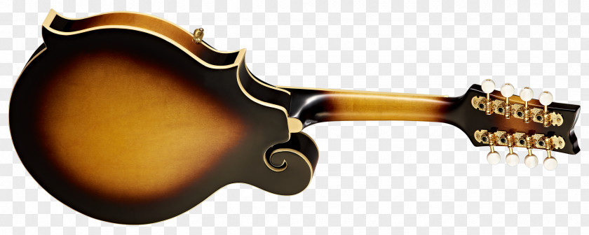 Amancio Ortega Musical Instruments Plucked String Instrument Mandolin Bridge PNG