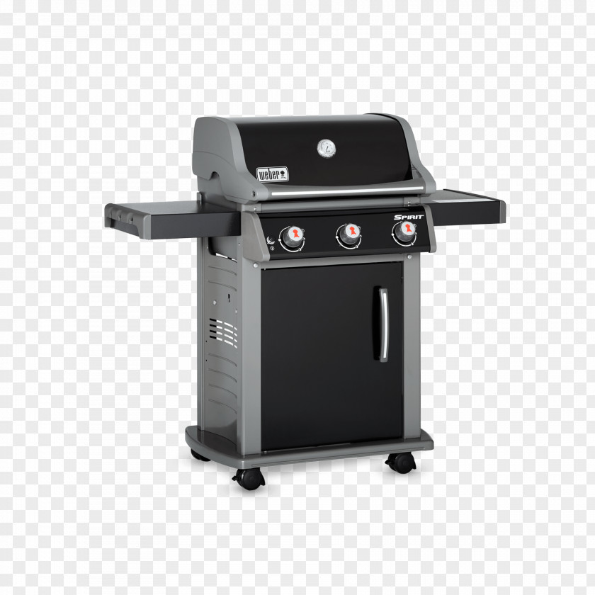 Barbecue Weber-Stephen Products Gasgrill Grilling PNG