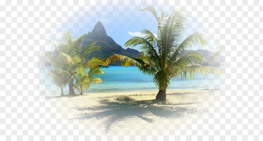 Desktop Wallpaper Blog Vacation PNG